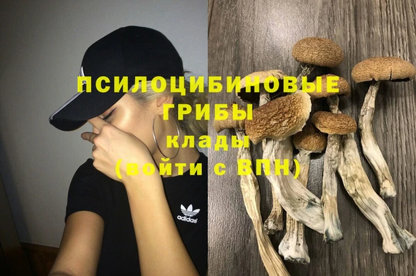СК Медногорск