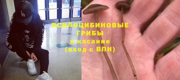 мескалин Мегион