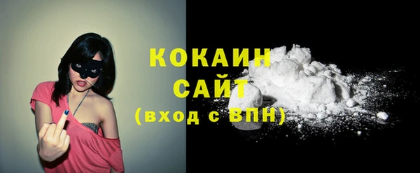 гидра Абаза