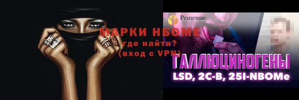 гидра Абаза