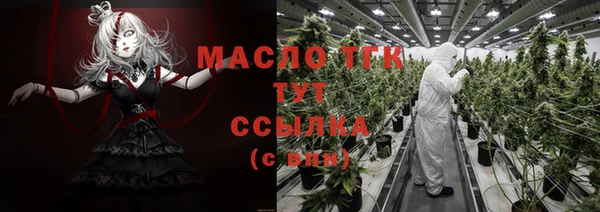 мдпв Щигры