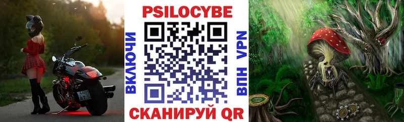 Галлюциногенные грибы Psilocybe Бокситогорск