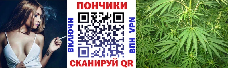Бошки Шишки планчик  ссылка на мегу   Бокситогорск 